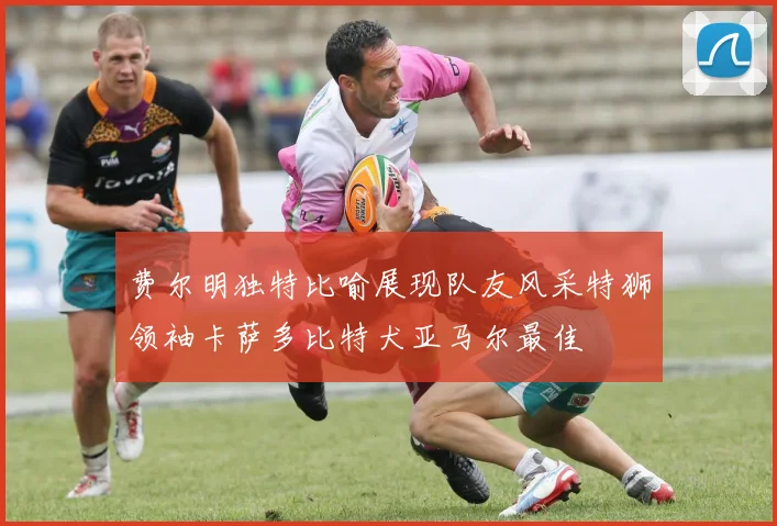 费尔明独特比喻展现队友风采特狮领袖卡萨多比特犬亚马尔最佳